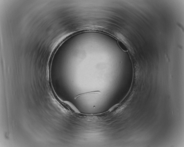 X0000103250940200808281500