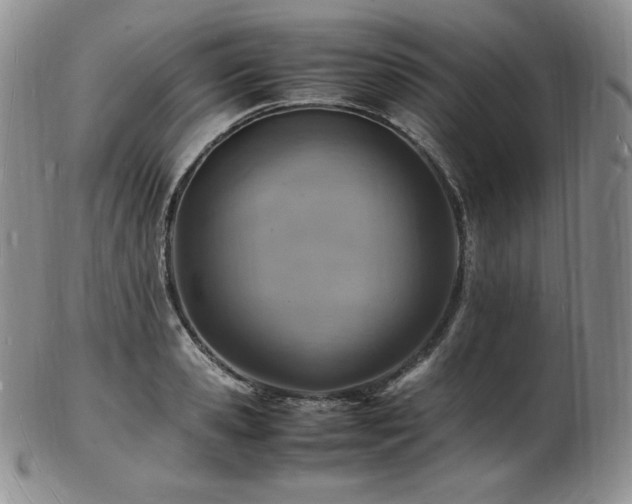 X0000103250941200808281500