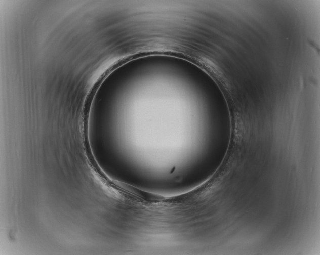 X0000103250942200808281500