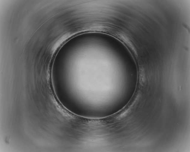 X0000103250944200808281500