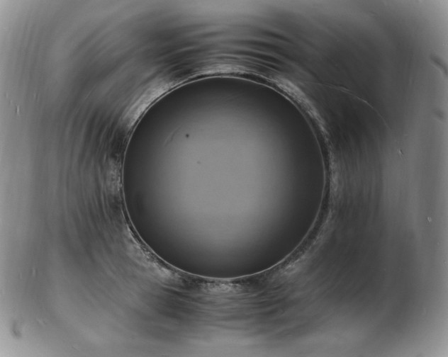 X0000103250945200808281500