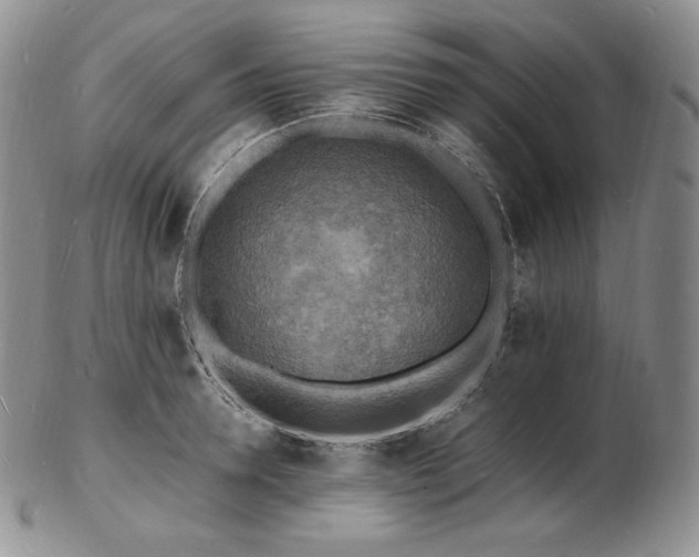 X0000103250946200808281500