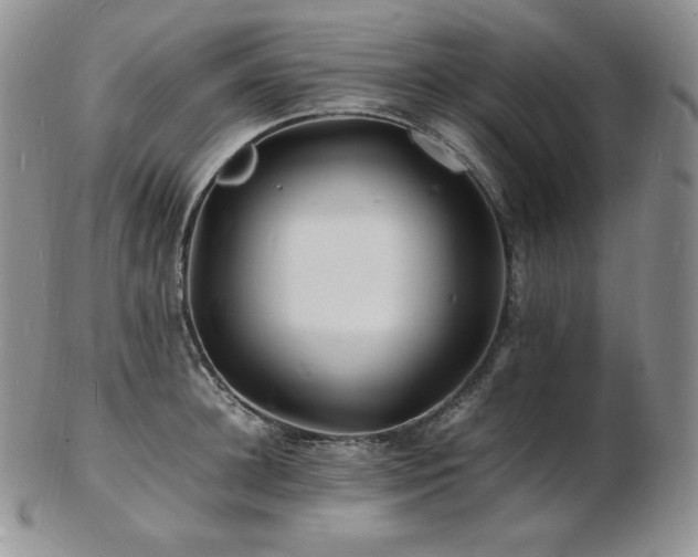 X0000103250948200808281500