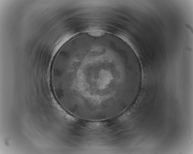 X0000103250949200808281500