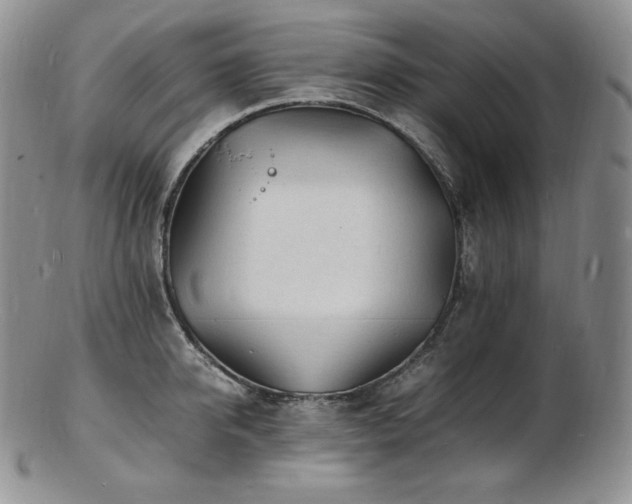 X0000103250950200808281500