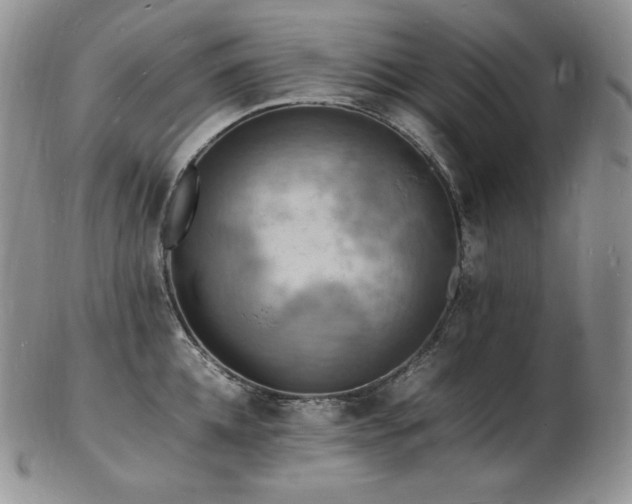 X0000103250952200808281500
