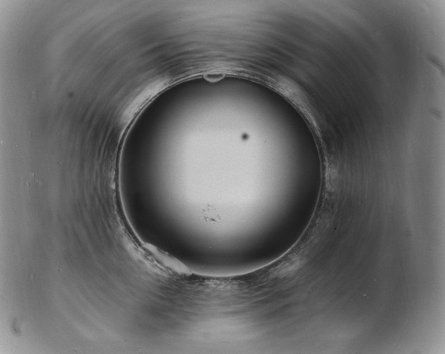 X0000103250954200808281500