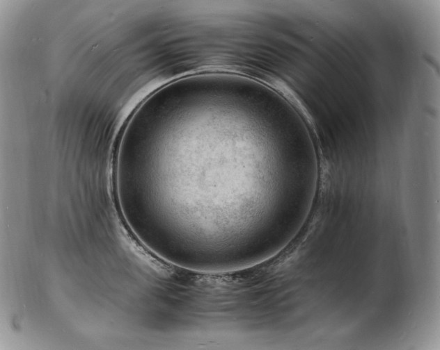 X0000103250955200808281500