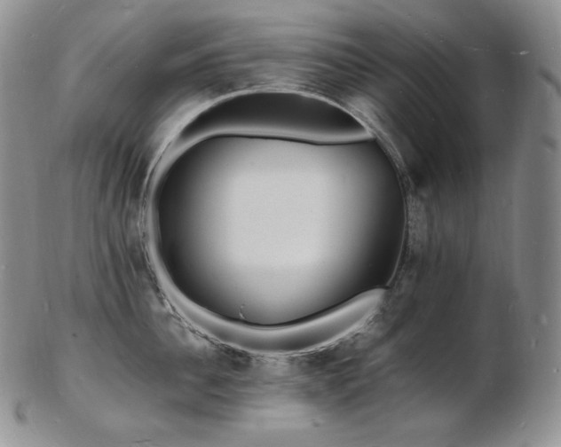 X0000103250956200808281500