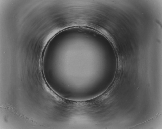 X0000103250958200808281500