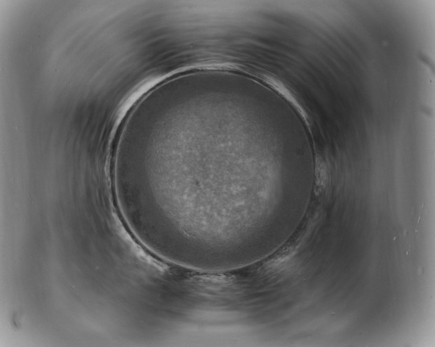 X0000103250959200808281500