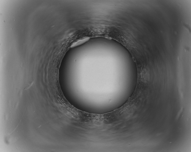 X0000103250961200808281500