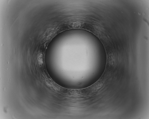 X0000103250962200808281500