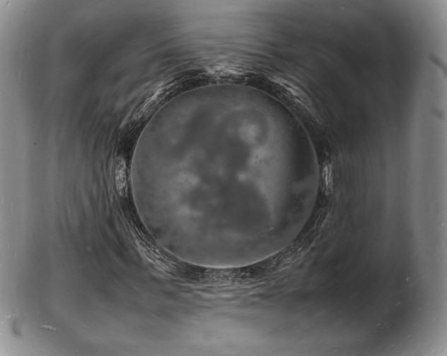 X0000103250963200808281500