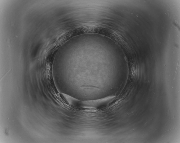 X0000103250964200808281500
