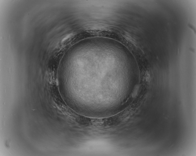 X0000103250965200808281500