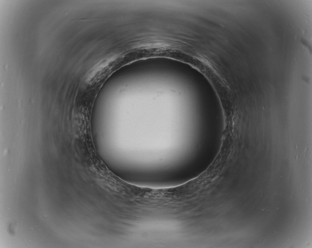 X0000103250967200808281500