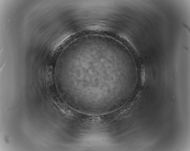 X0000103250968200808281500