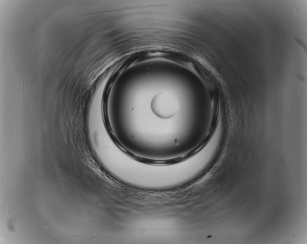 X0000103250969200808281500