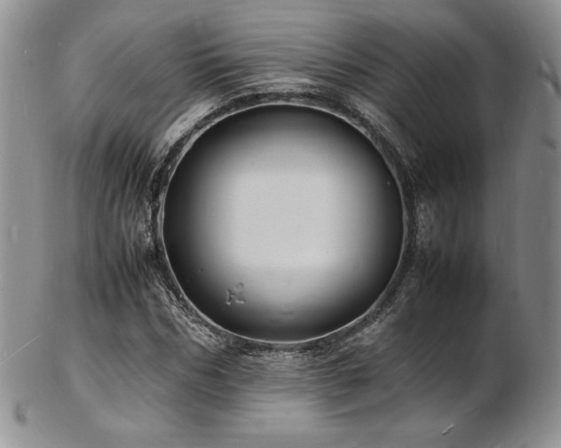 X0000103250970200808281500