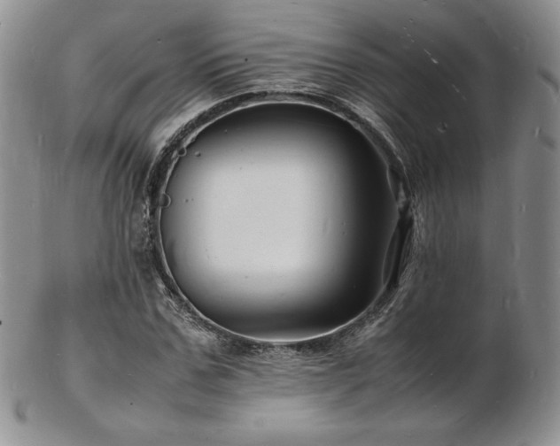 X0000103250971200808281500