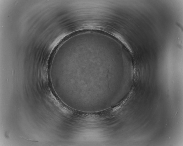 X0000103250972200808281500
