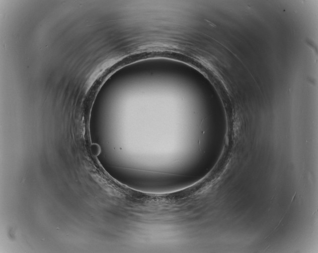 X0000103250973200808281500