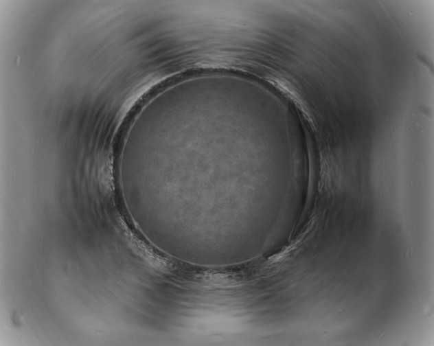 X0000103250976200808281500
