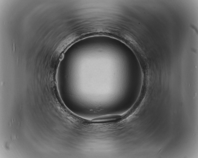 X0000103250977200808281500