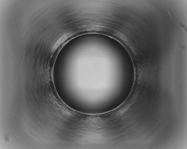 X0000103250978200808281500