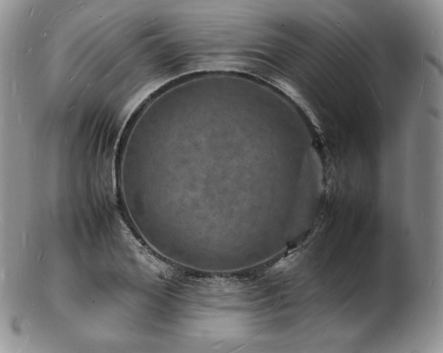 X0000103250980200808281500