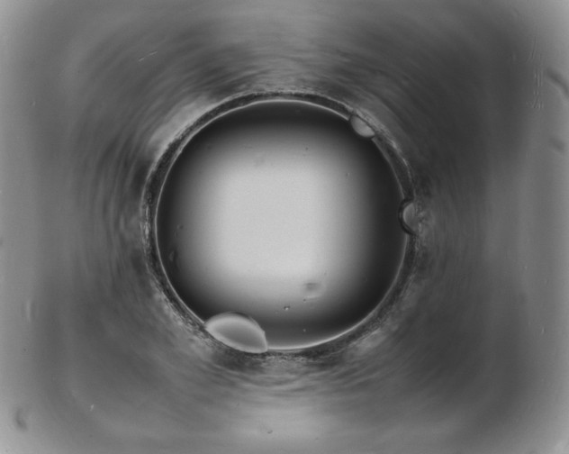 X0000103250981200808281500