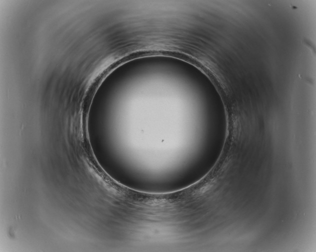 X0000103250982200808281500