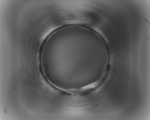 X0000103250983200808281500