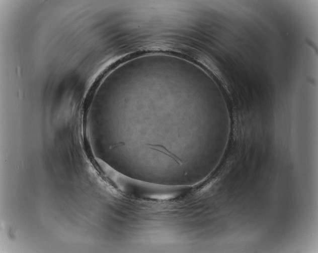 X0000103250984200808281459