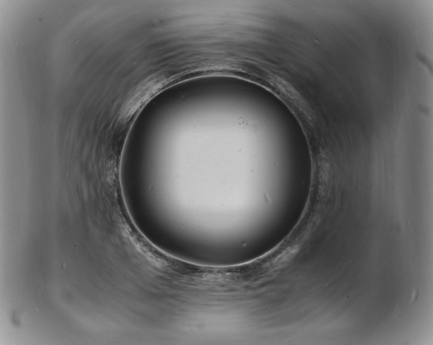 X0000103250985200808281459