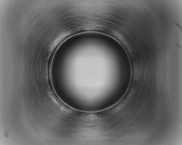 X0000103250986200808281459