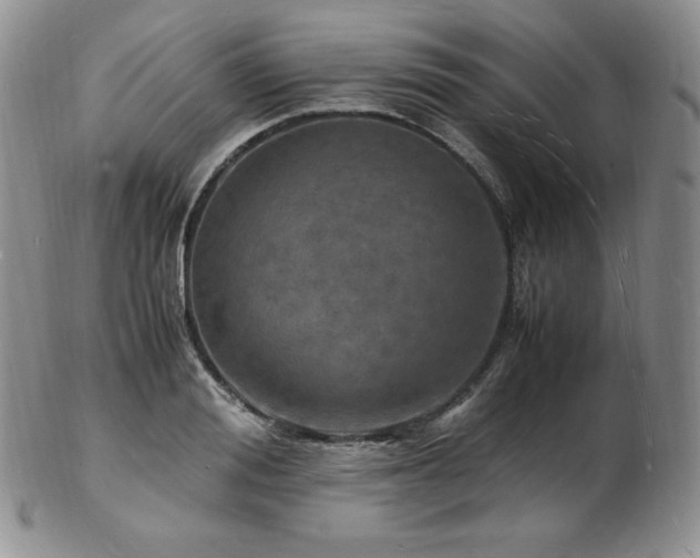X0000103250988200808281459