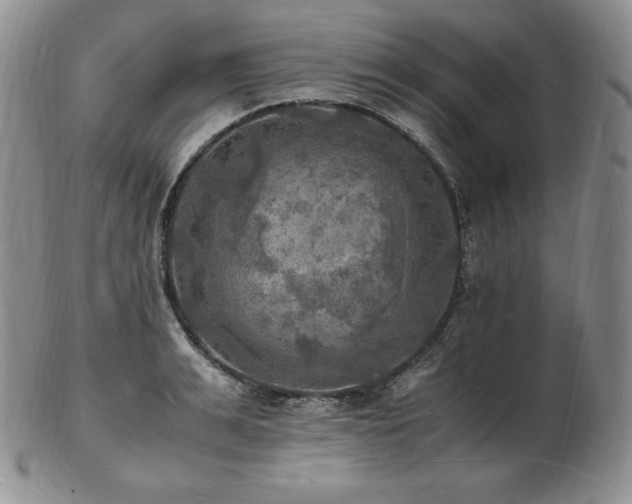 X0000103250991200808281459