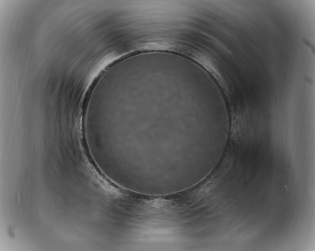 X0000103250992200808281459
