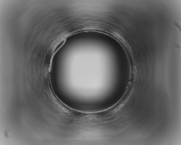 X0000103250993200808281459