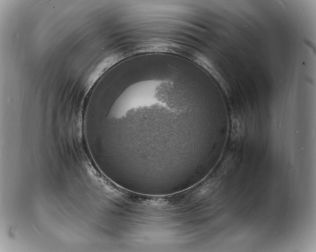 X0000103250994200808281459