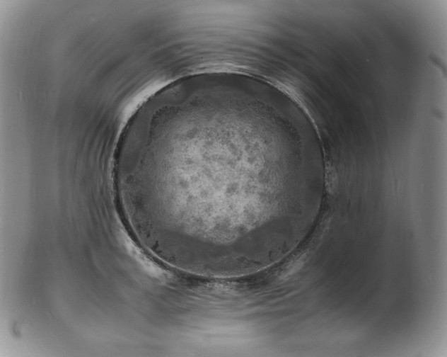 X0000103250995200808281459
