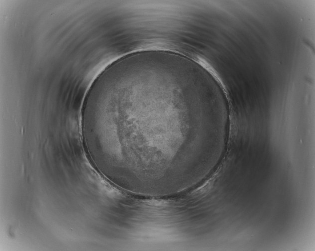 X0000103250996200808281459