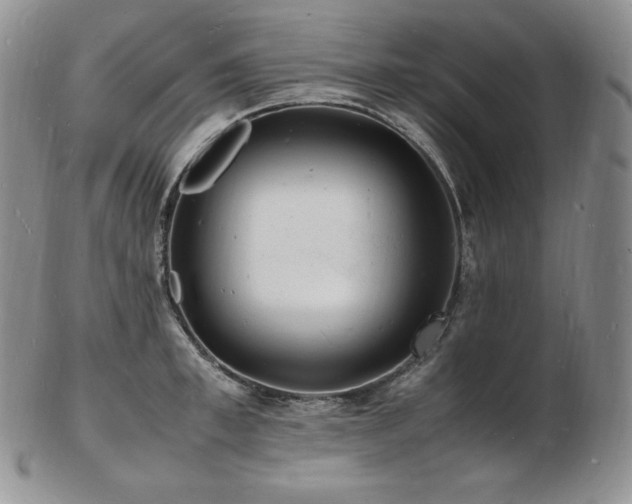 X0000103250997200808281459