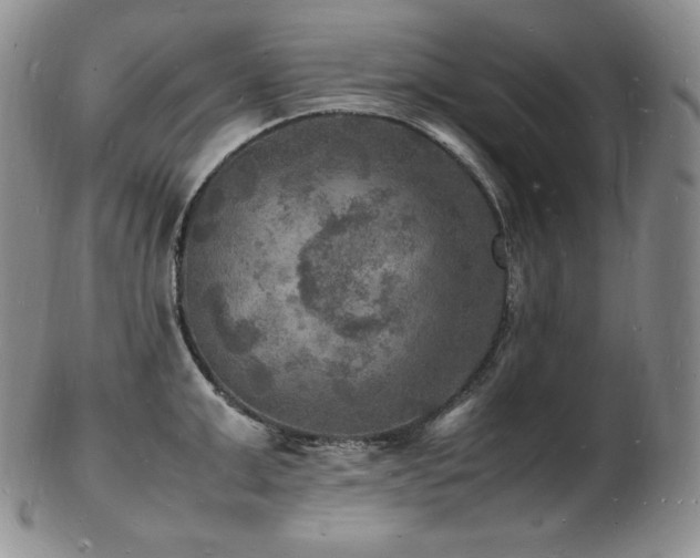 X0000103250999200808281459