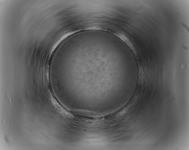 X0000103251000200808281459