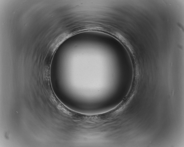 X0000103251001200808281459