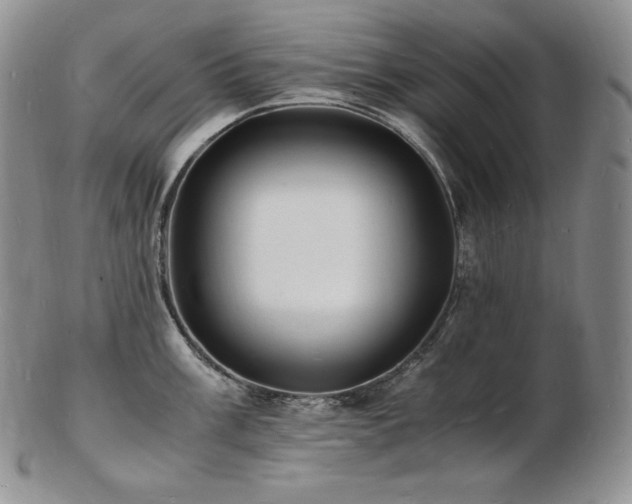 X0000103251003200808281459
