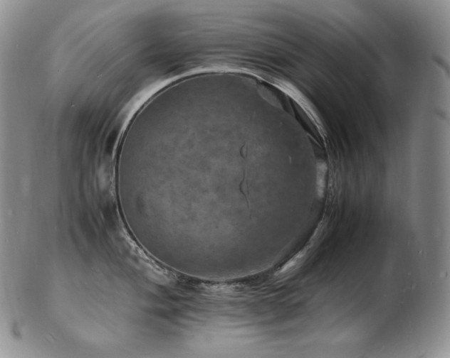 X0000103251004200808281459